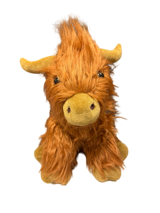 Fluffy Highland Cow