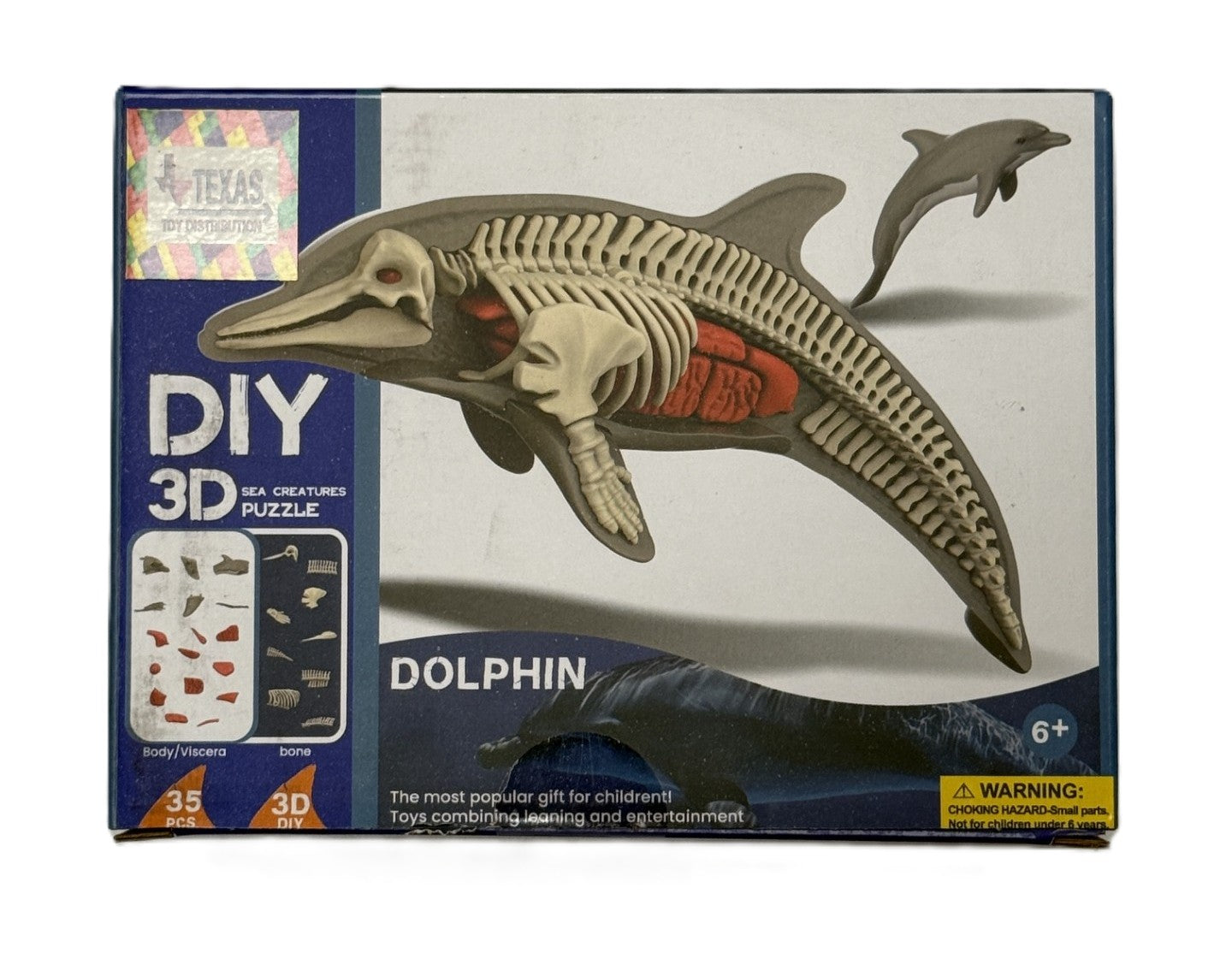 3D DIY Dolphin Body & Bone Puzzle-STEM