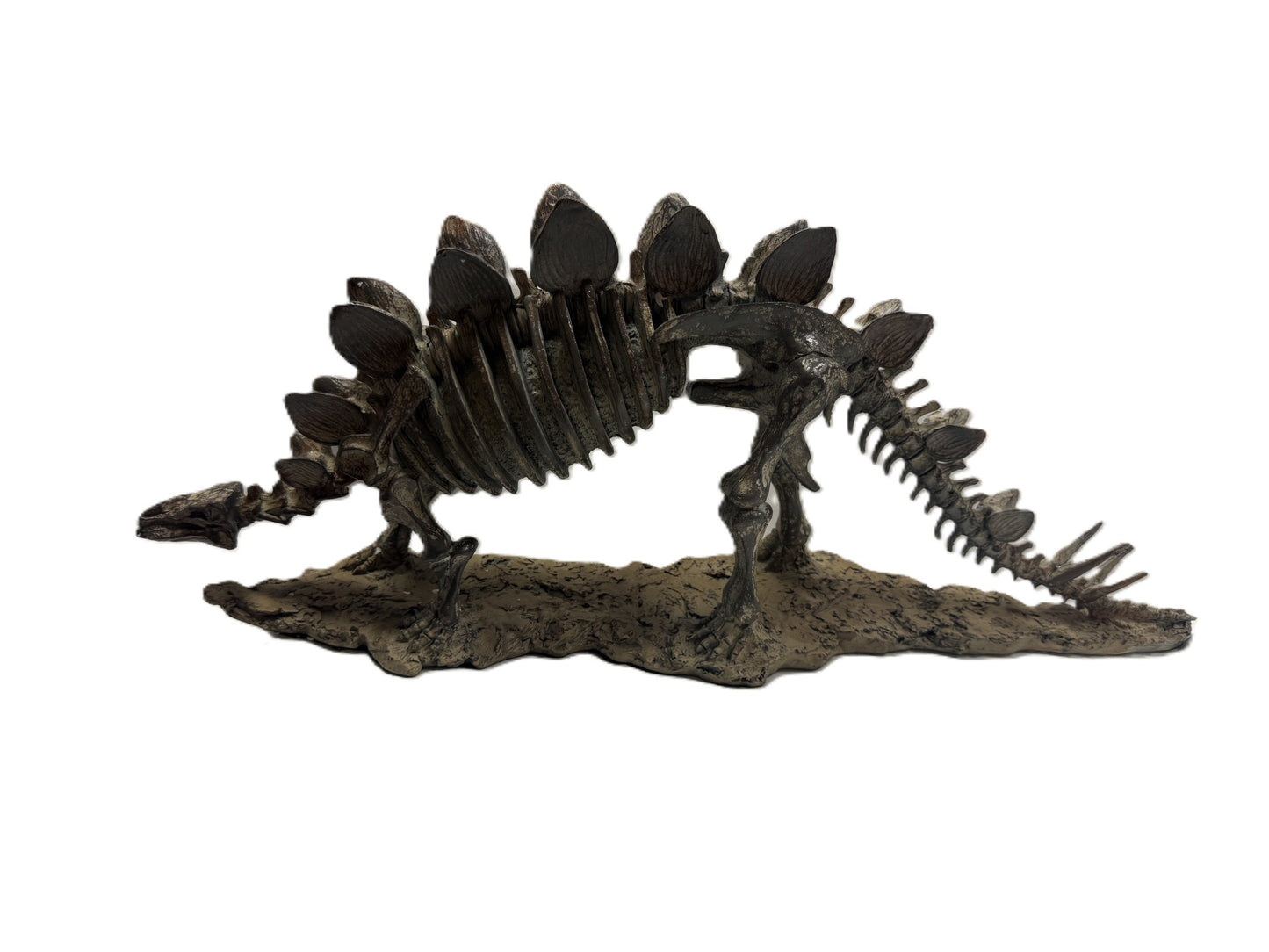 Polyresin Stegosaurus Skeleton
