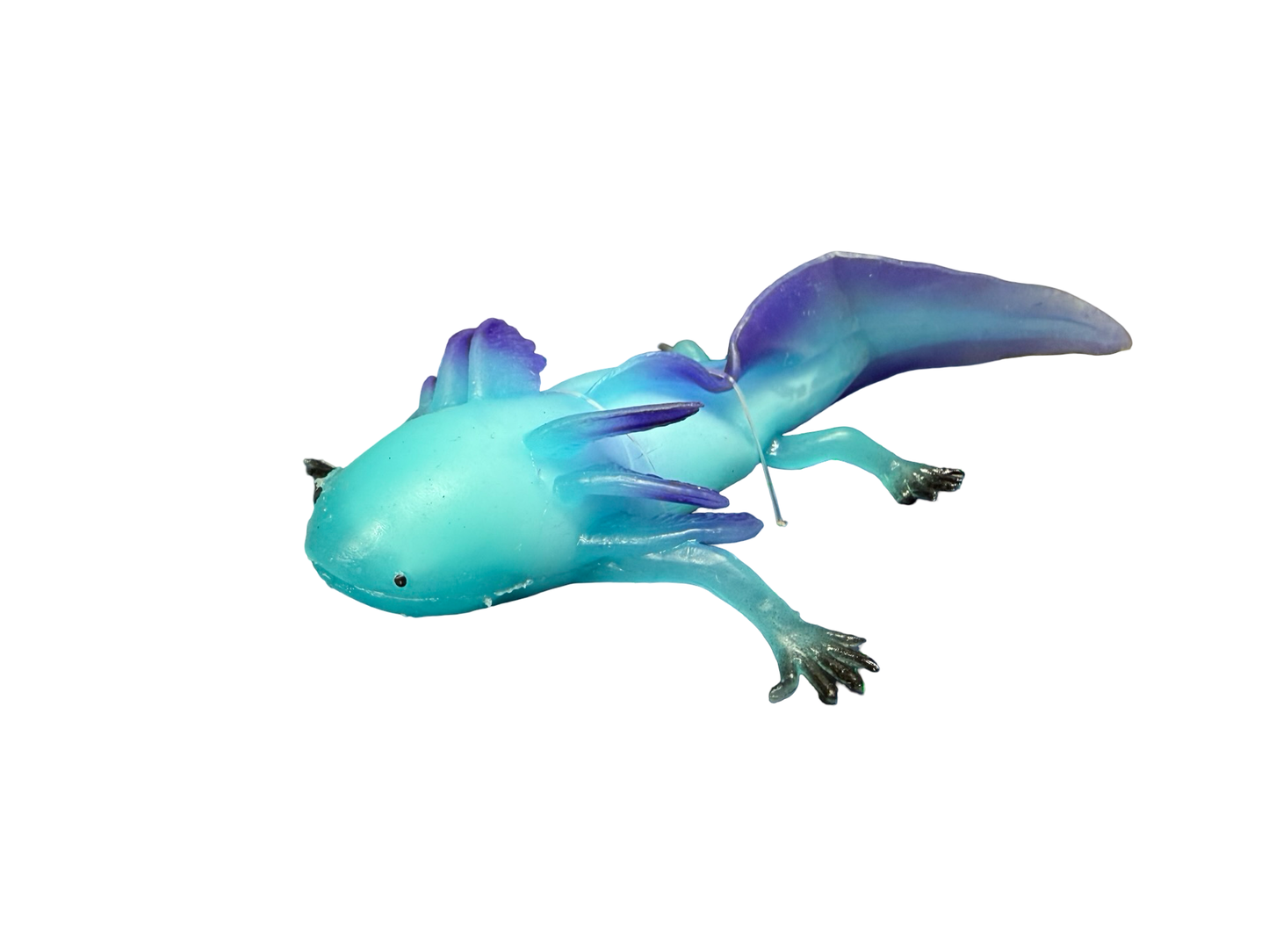 Blue Axolotl Squishy and Stretchy Toy