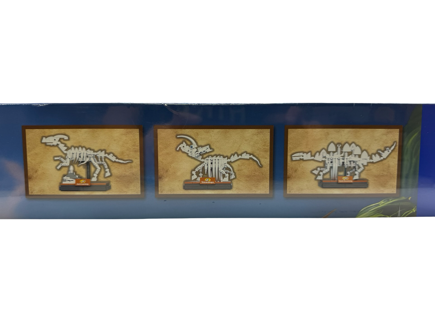 Dinosaur Museum brick set