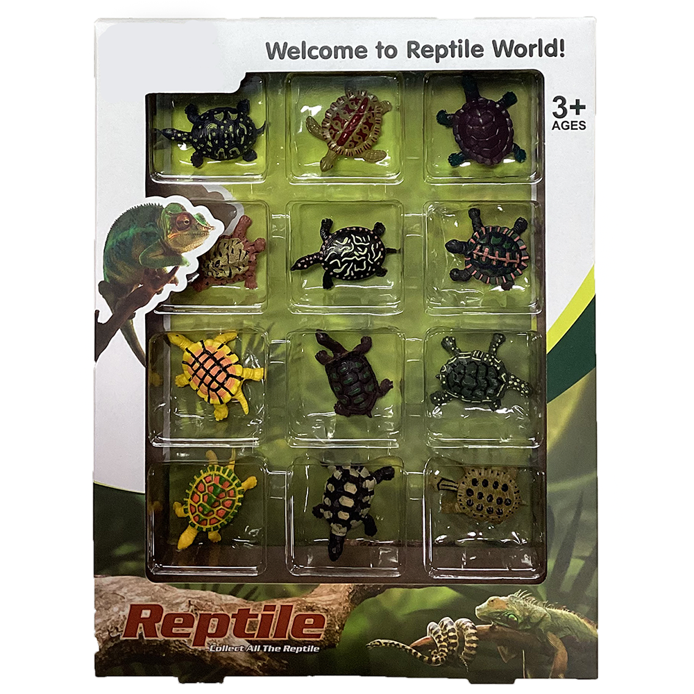 Turtleboxes Display Reptile Retail Window Box with Assorted 12 Turtle Figurines – Texas Toy ...
