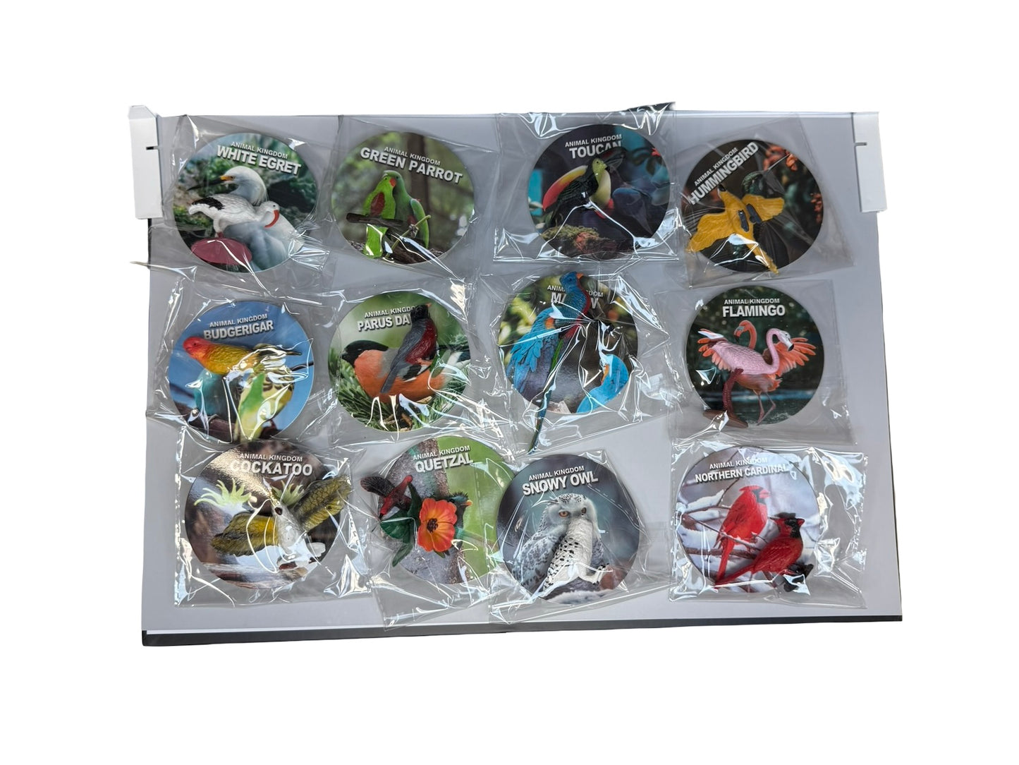 Bird Figurines Display of 36