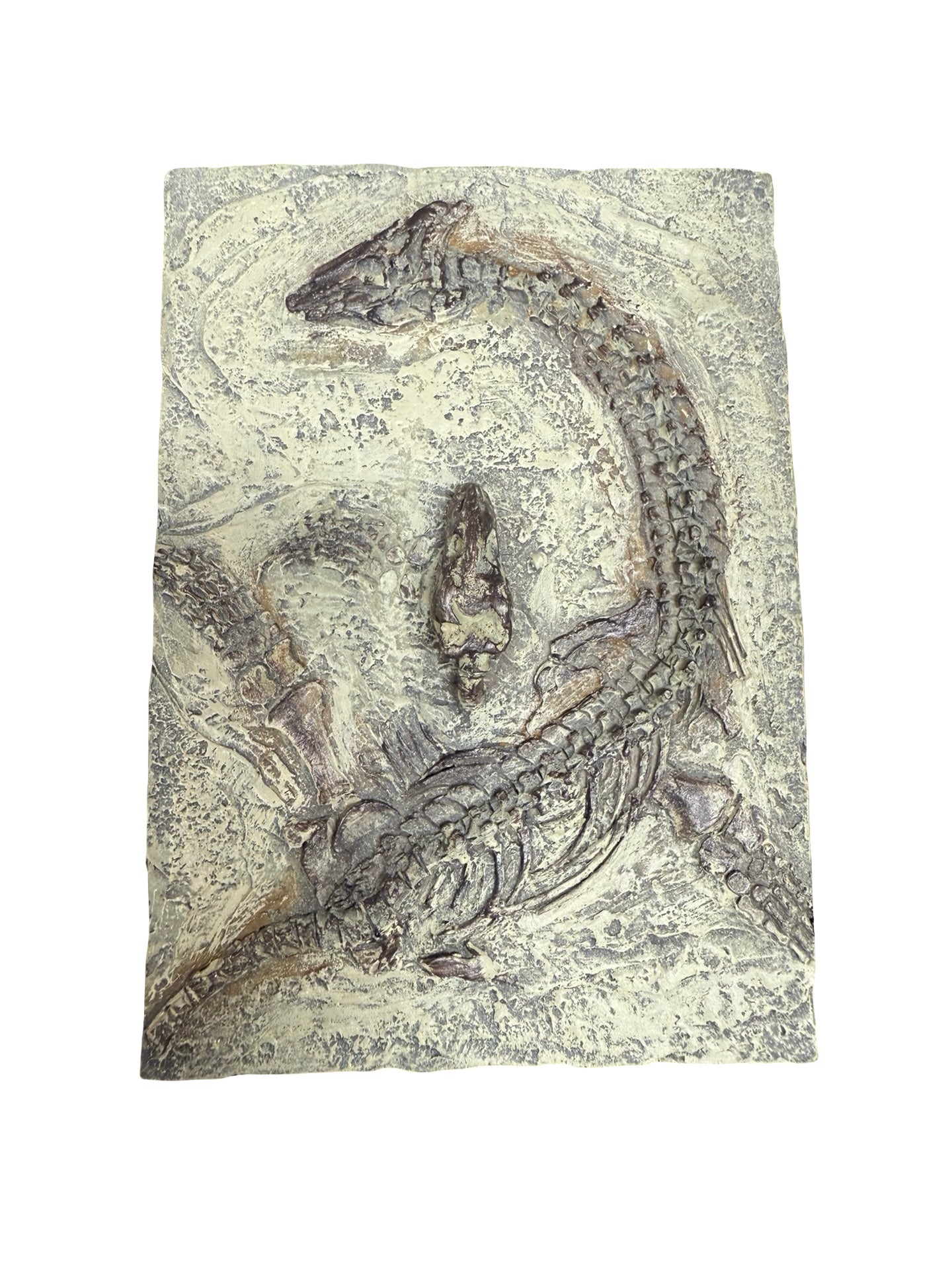 Resin Dinosaur Box Decor