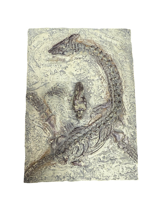 Resin Dinosaur Box Decor