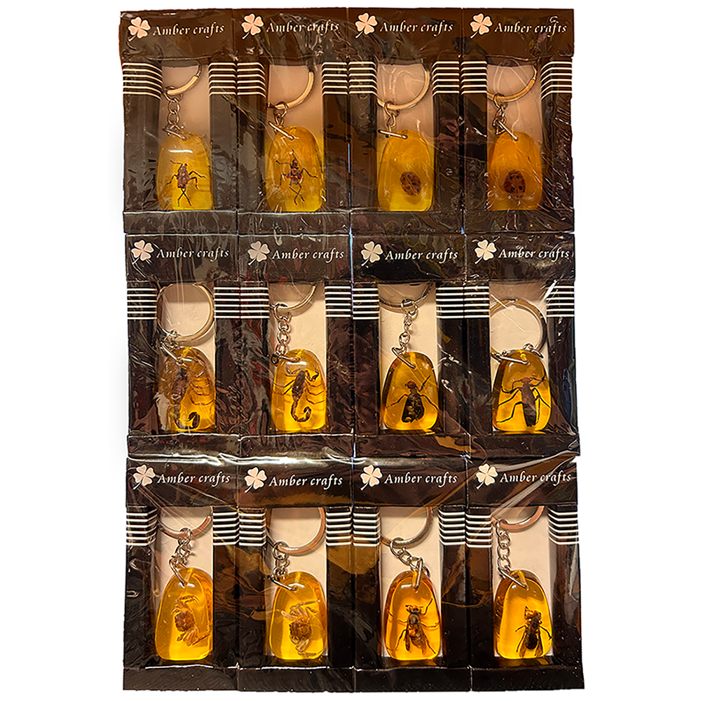 Insects in Amber, Natural Bug Keychains in Retail Packaging