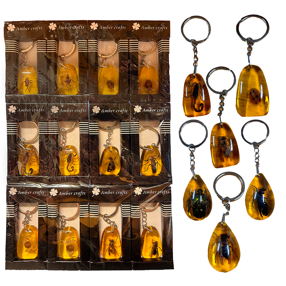 Insects in Amber, Natural Bug Keychains in Retail Packaging – Texas Toy ...