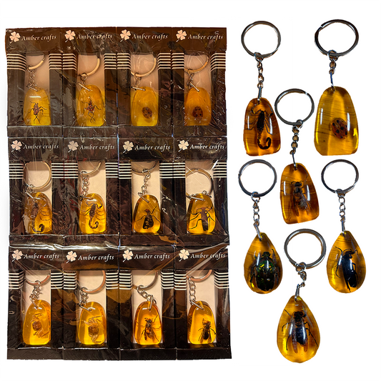 Insects in Amber, Natural Bug Keychains in Retail Packaging