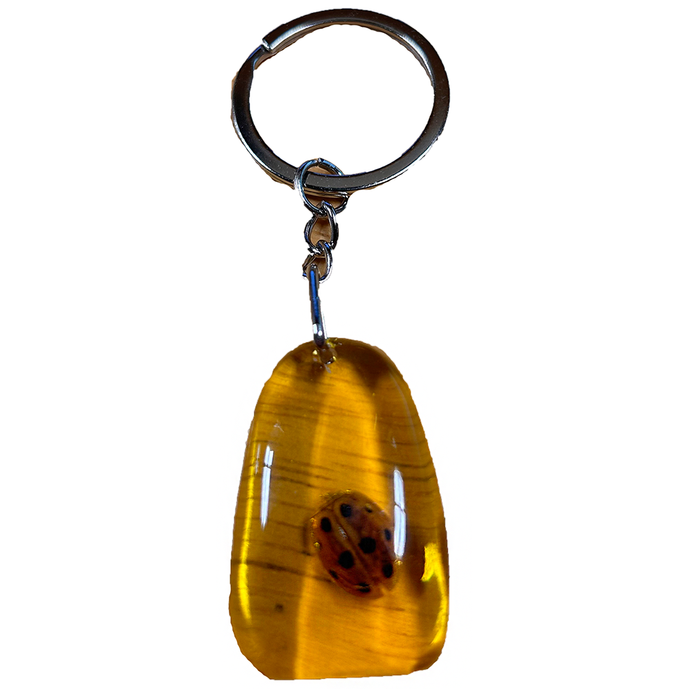 Insects in Amber, Natural Bug Keychains in Retail Packaging