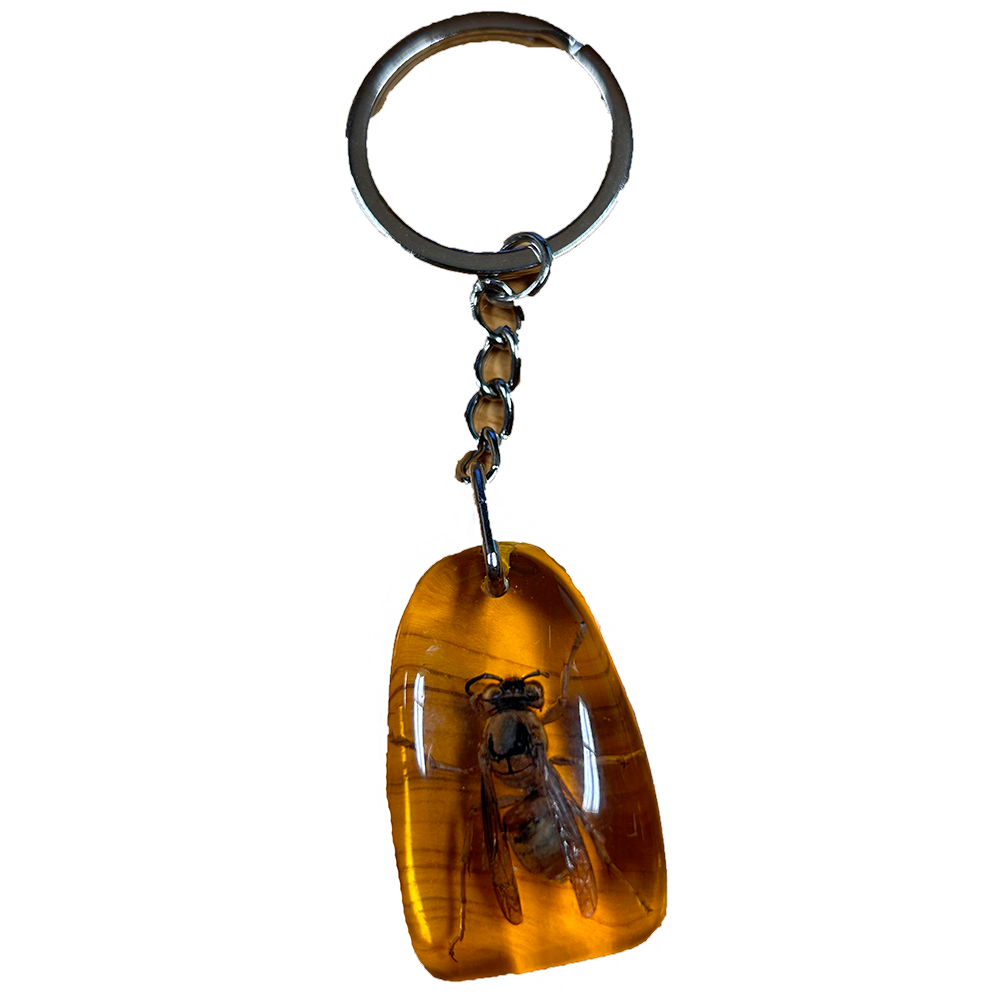 Insects in Amber, Natural Bug Keychains in Retail Packaging