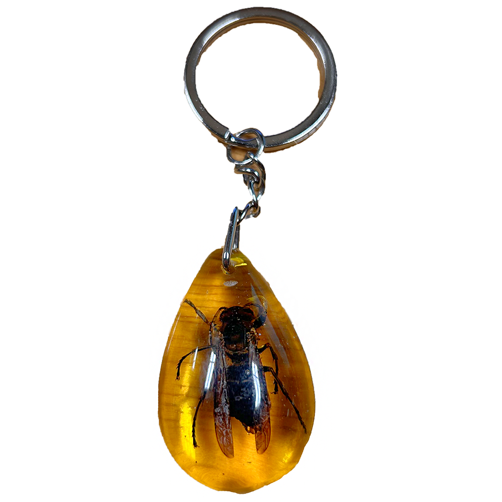 Insects in Amber, Natural Bug Keychains in Retail Packaging