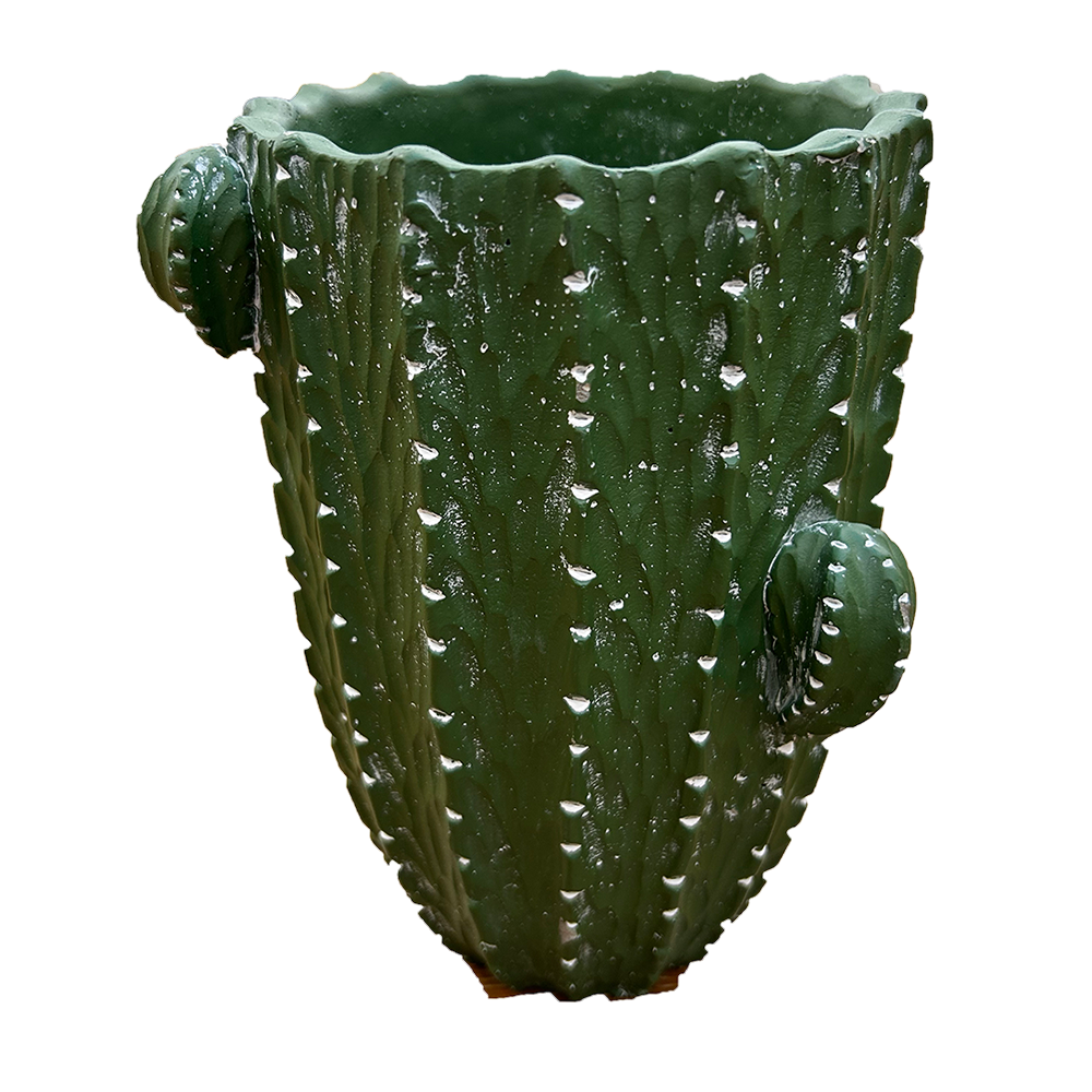 Cactus Flowerpot Outdoor Home Decor