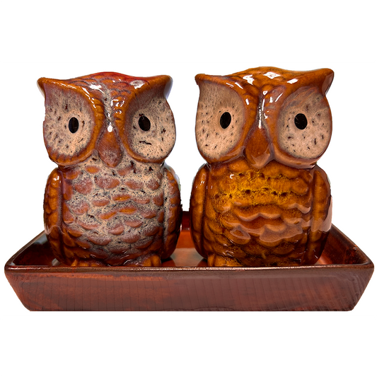 Owls Ceramic Salt and Pepper Shaker Set with Tray