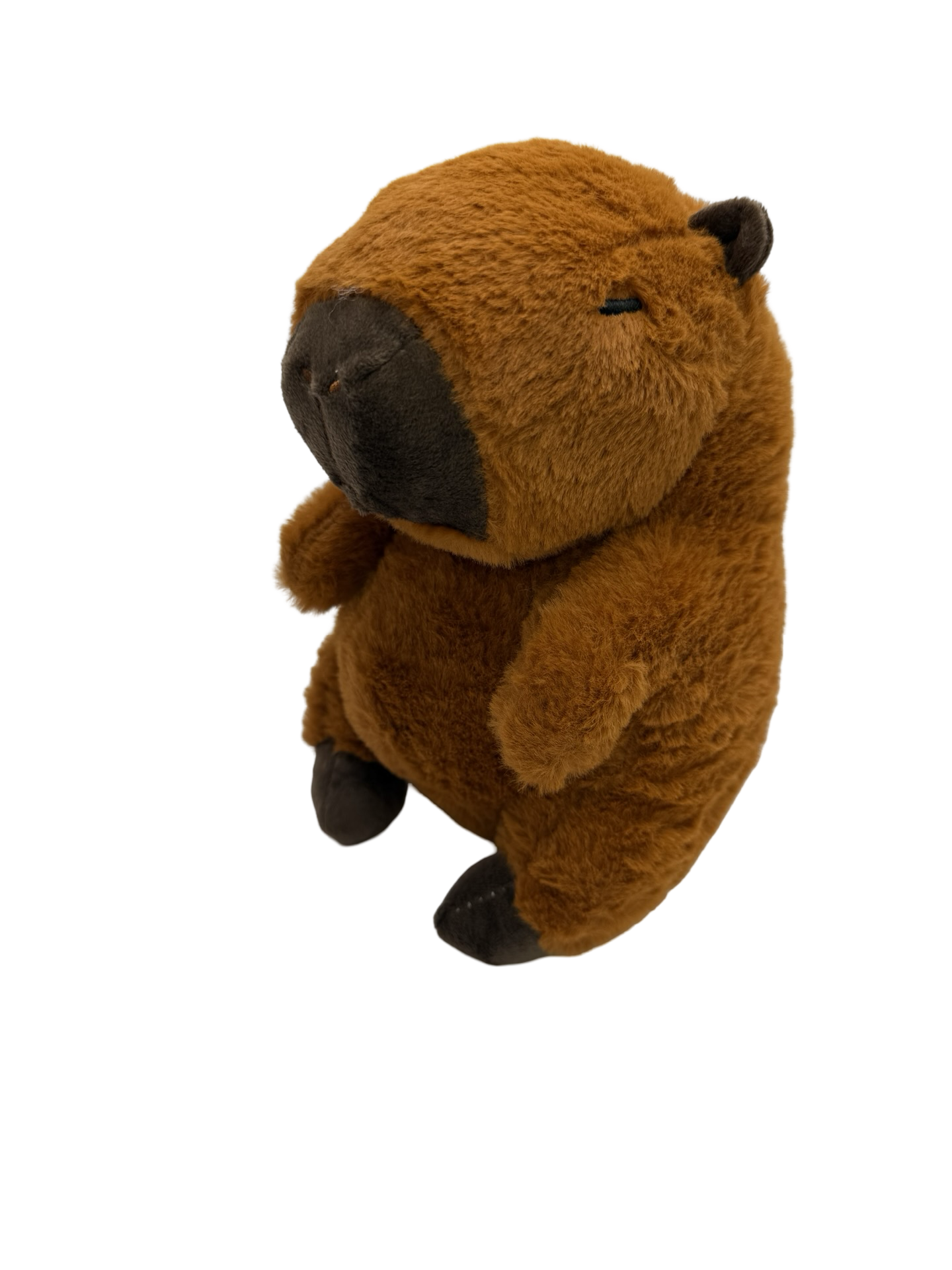 Capybara plush (approx 8” tall)