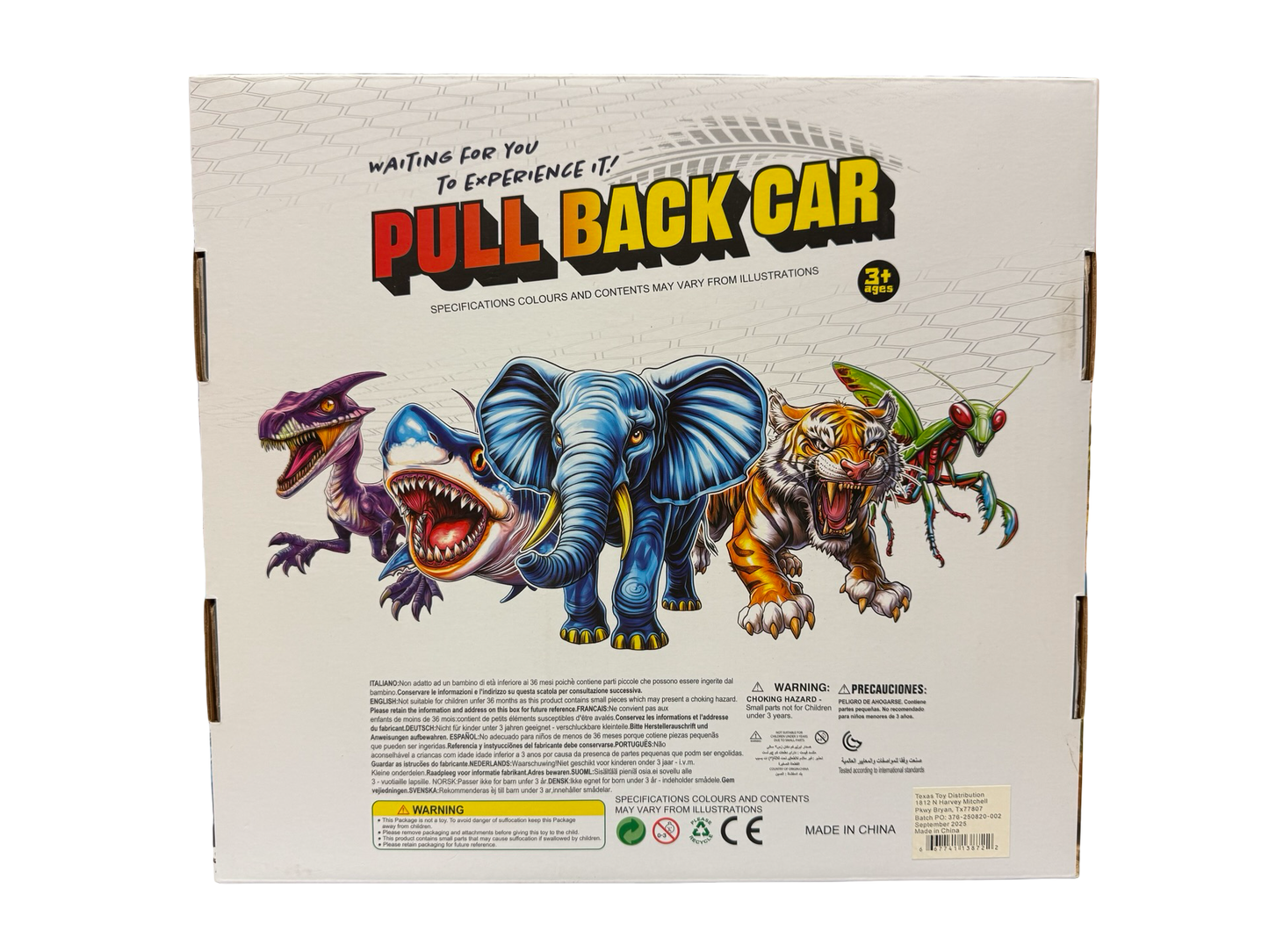 Pull-Back Insect Cars Display of 24