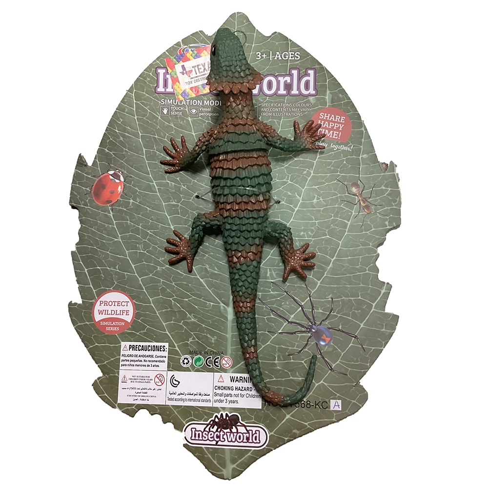 Armadillo Lizard 9