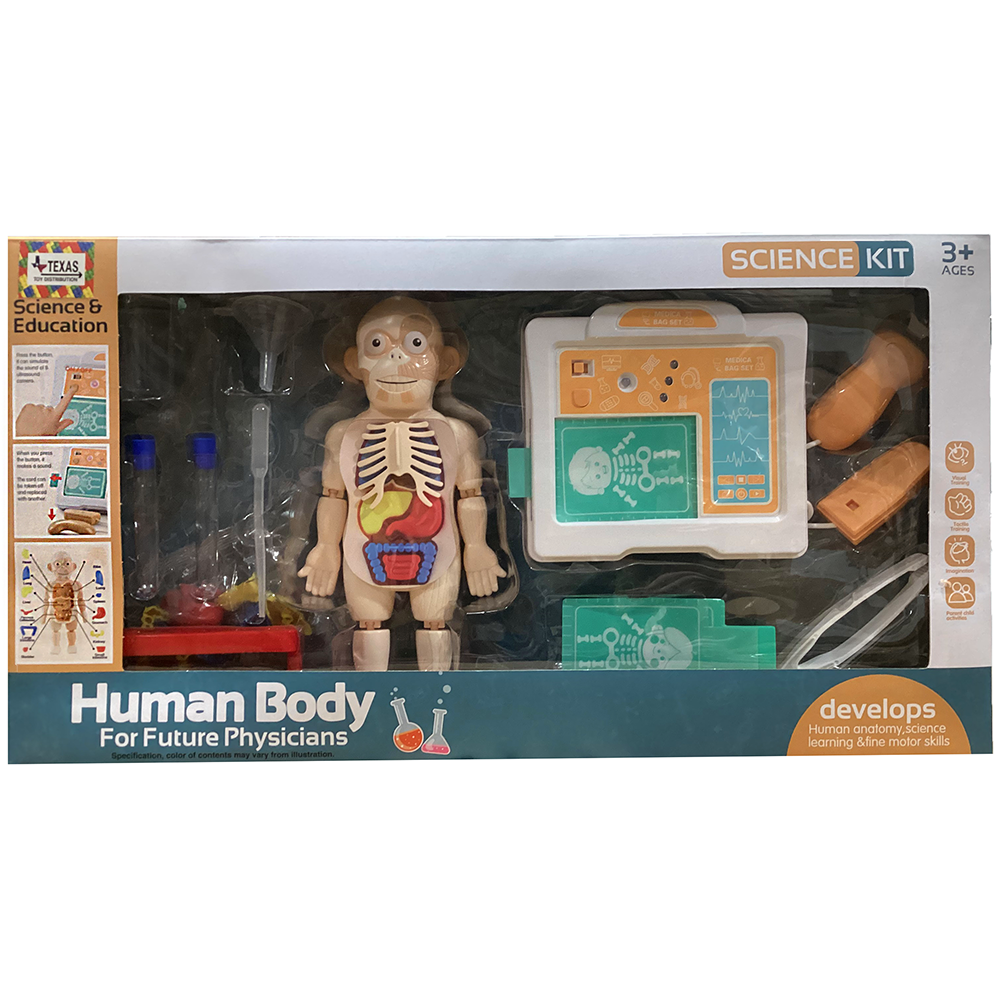 Human Body Science Kit, Anatomy STEM Kit for Kid Doctors – Texas Toy ...