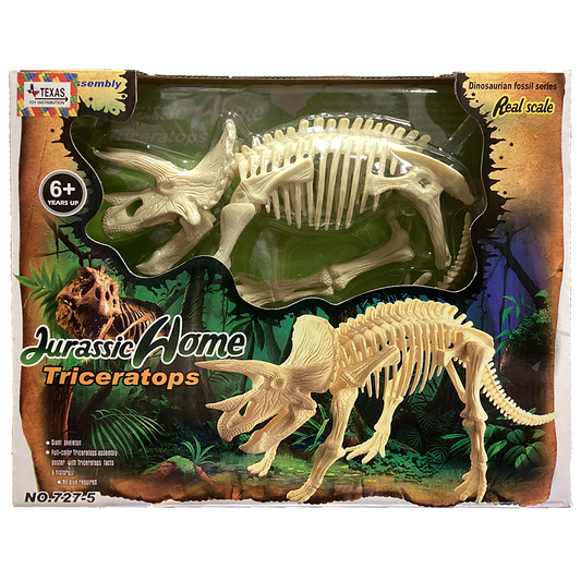 Triceratops 19" Long Dinosaur Skeleton DIY Set in Window Box