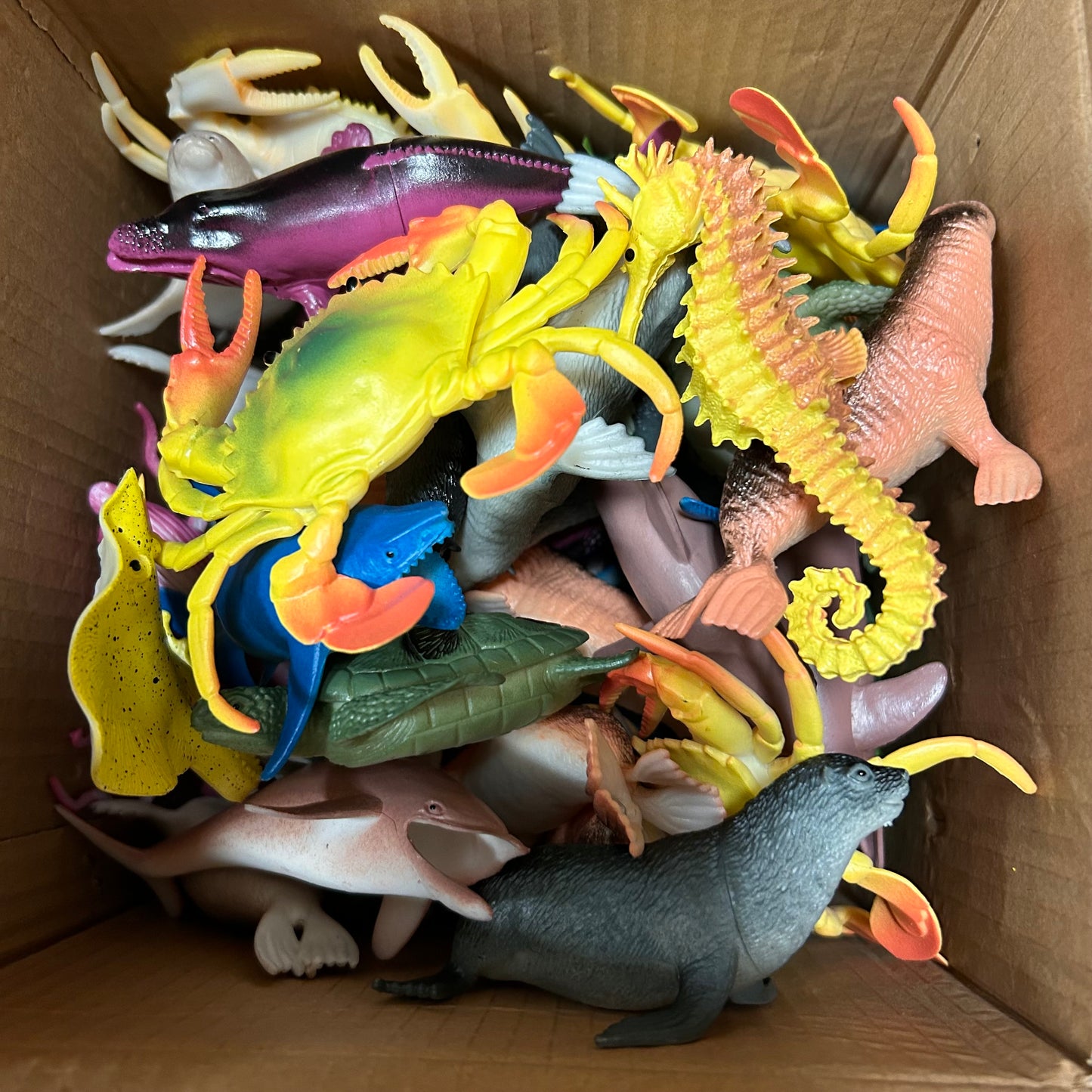 Bulk 5" Marine Ocean Animals Figurines, By the Pound