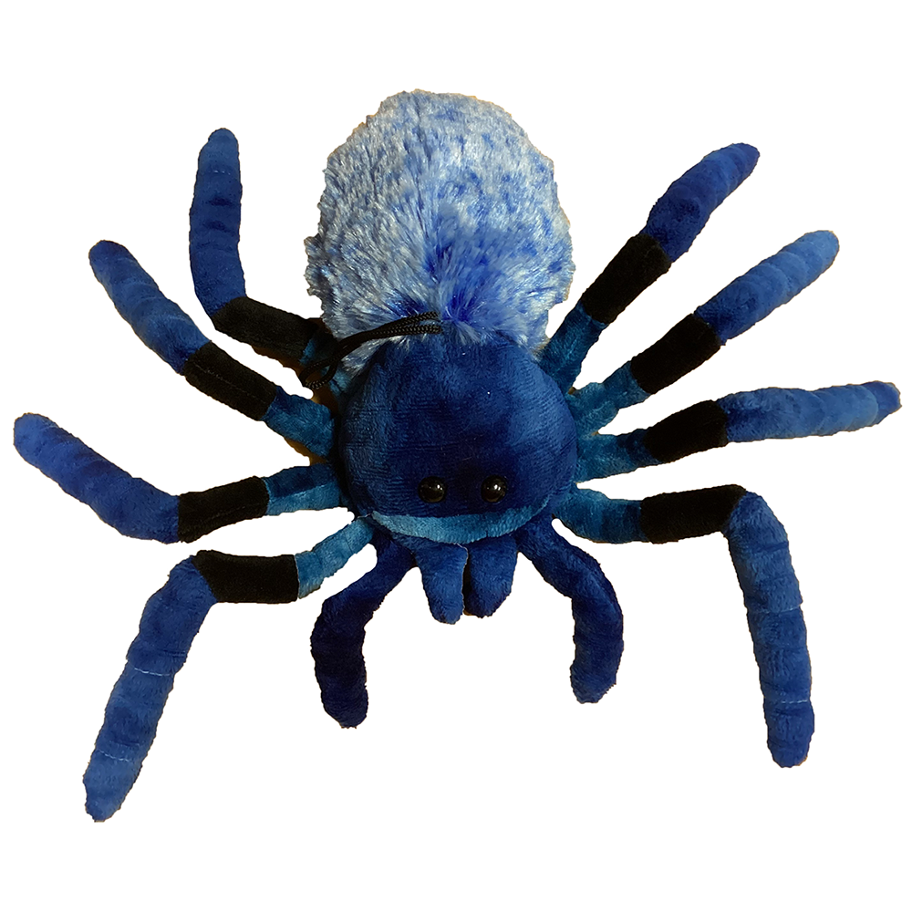 Blue Tarantula 9" Plush Spider Stuffed Animal, 2 Styles