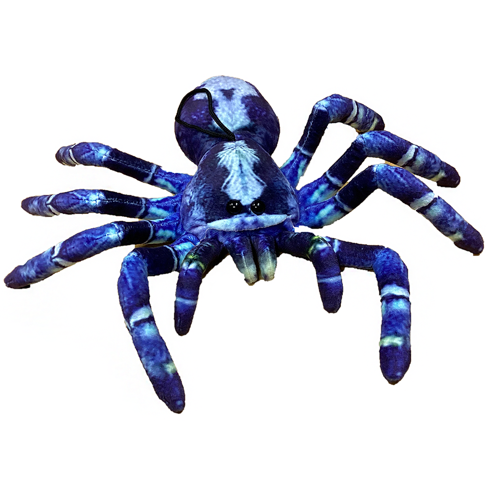 Blue Tarantula 9" Plush Spider Stuffed Animal, 2 Styles