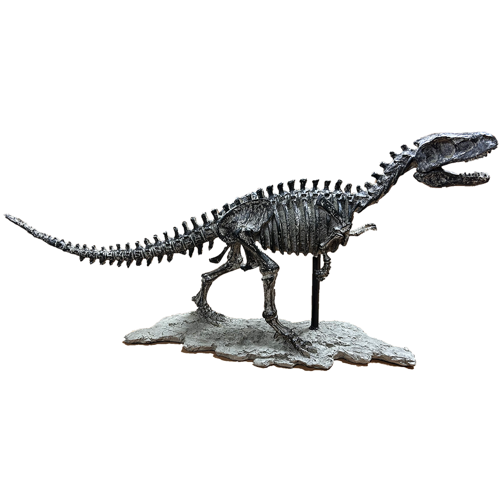 T-Rex Dinosaur Skeleton Tyrannosaurus Rex Cast Model