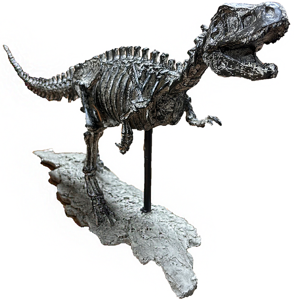 T-Rex Dinosaur Skeleton Tyrannosaurus Rex Cast Model