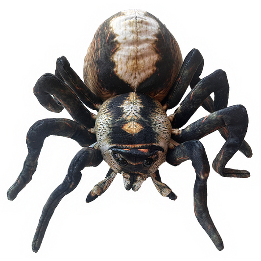 Spider 10" Plush Stuffed Animal Insect Toy