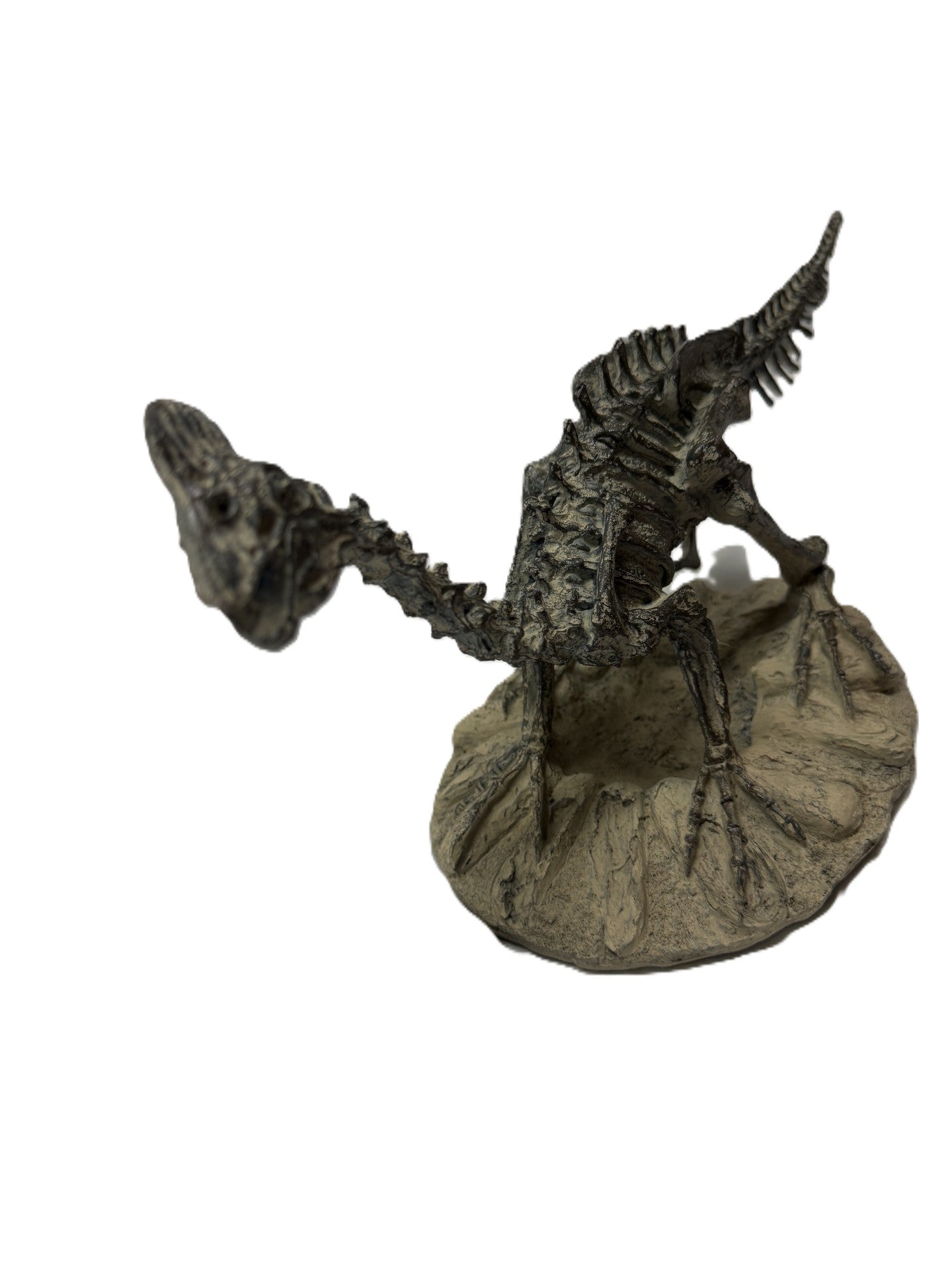 Polyresin Dilophosaurus Skeleton