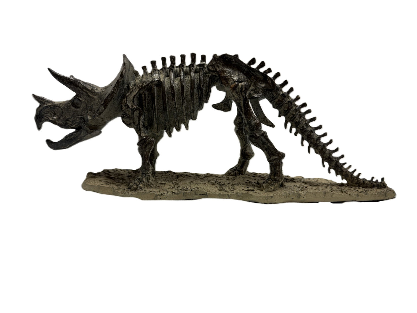 Polyresin Triceratops Skeleton