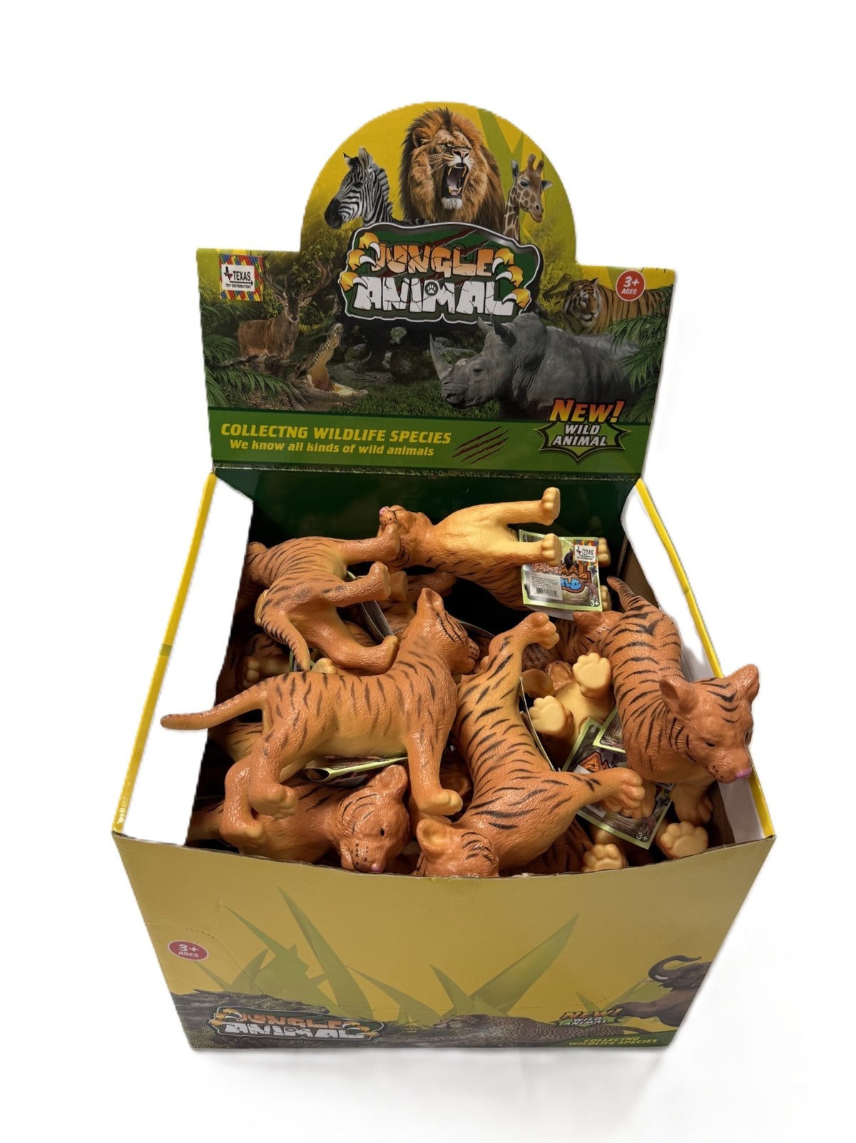 Display Box of Orange Tiger Cubs (24 pcs)
