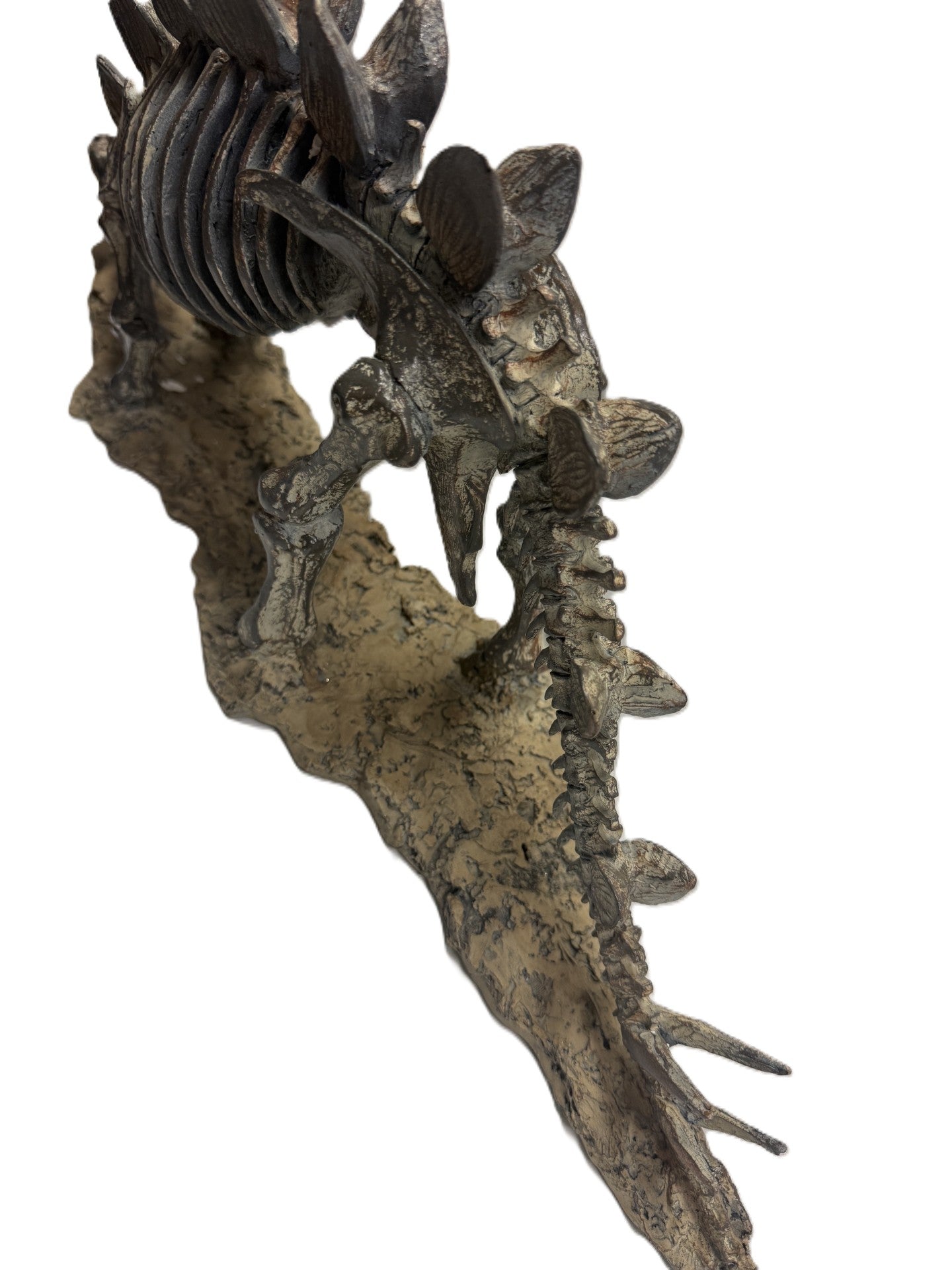 Polyresin Stegosaurus Skeleton