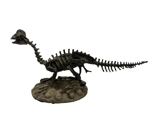 Polyresin Dilophosaurus Skeleton