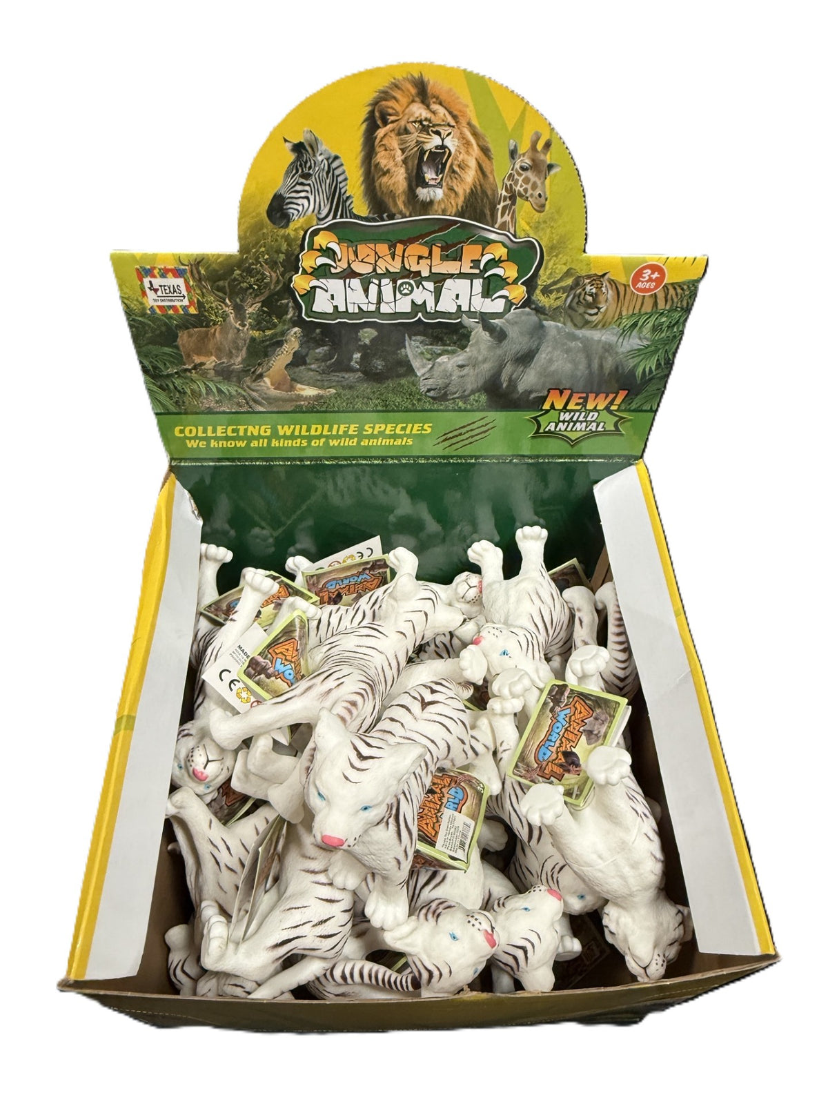 Display Box of White Tiger Cubs (24 pcs)