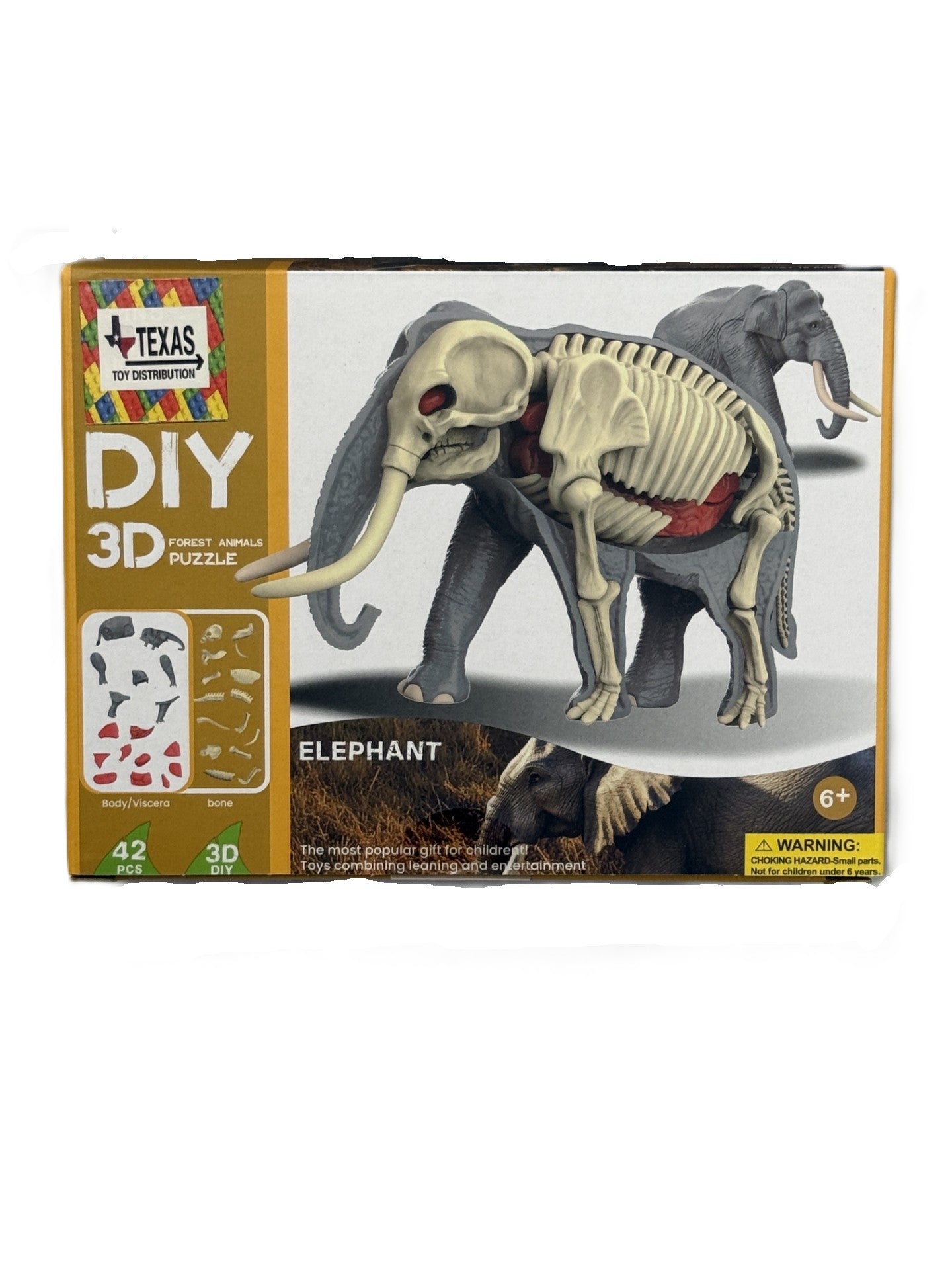 3D DIY Body & Bone Elephant Puzzle-STEM