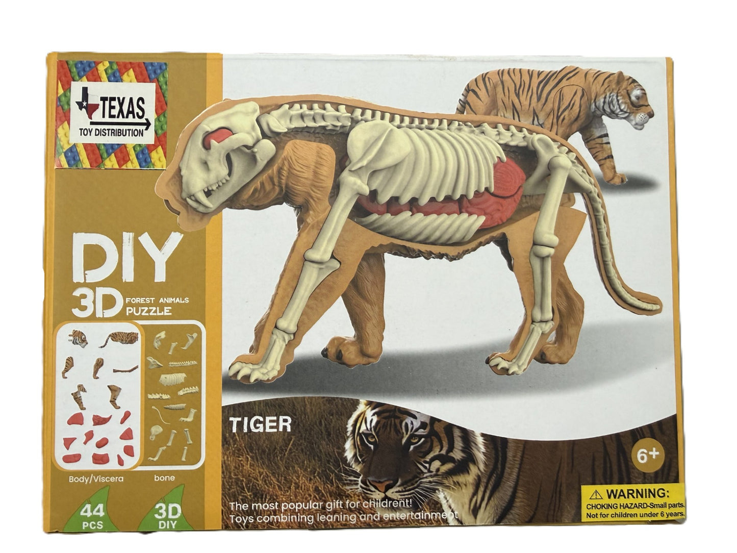 3D DIY Tiger Body & Bone Puzzle-STEM