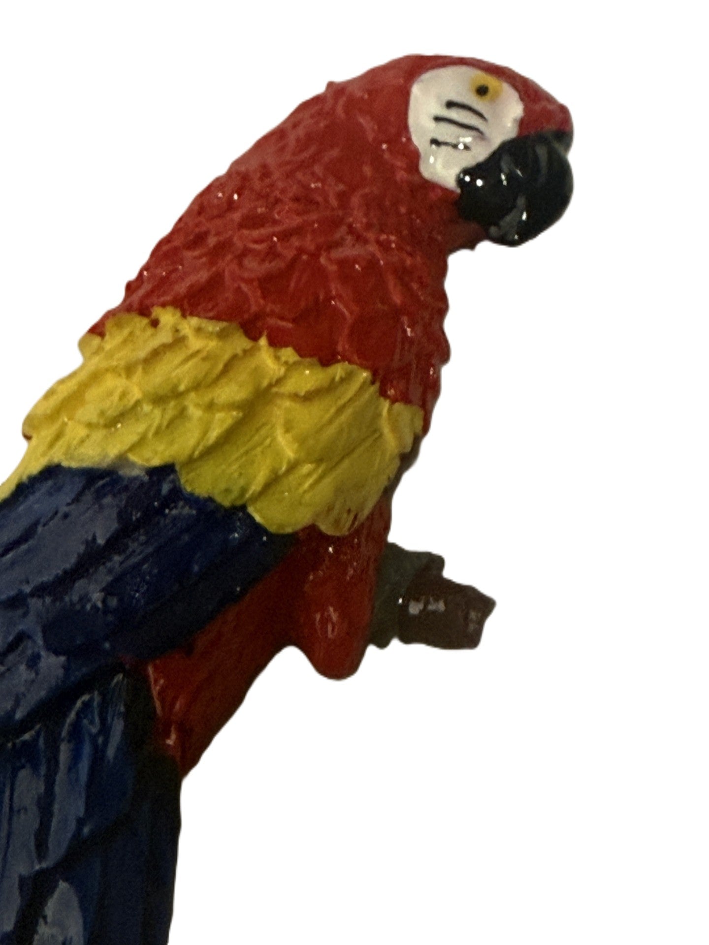 Parrot Magnet- 5 inch