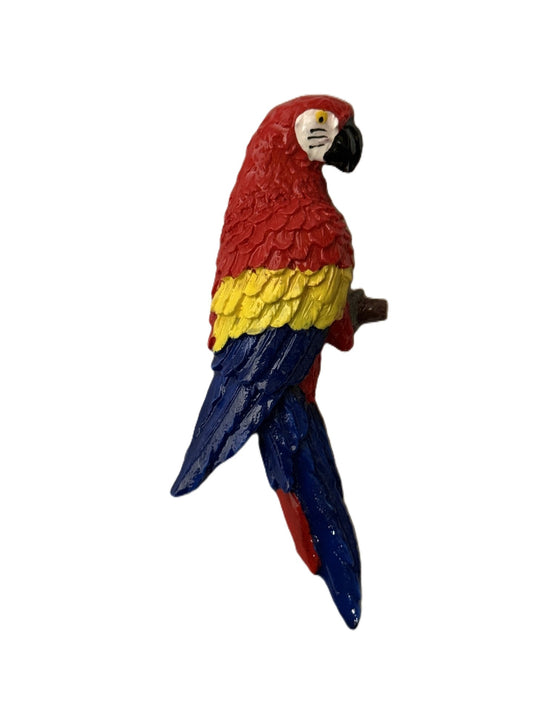 Parrot Magnet- 5 inch