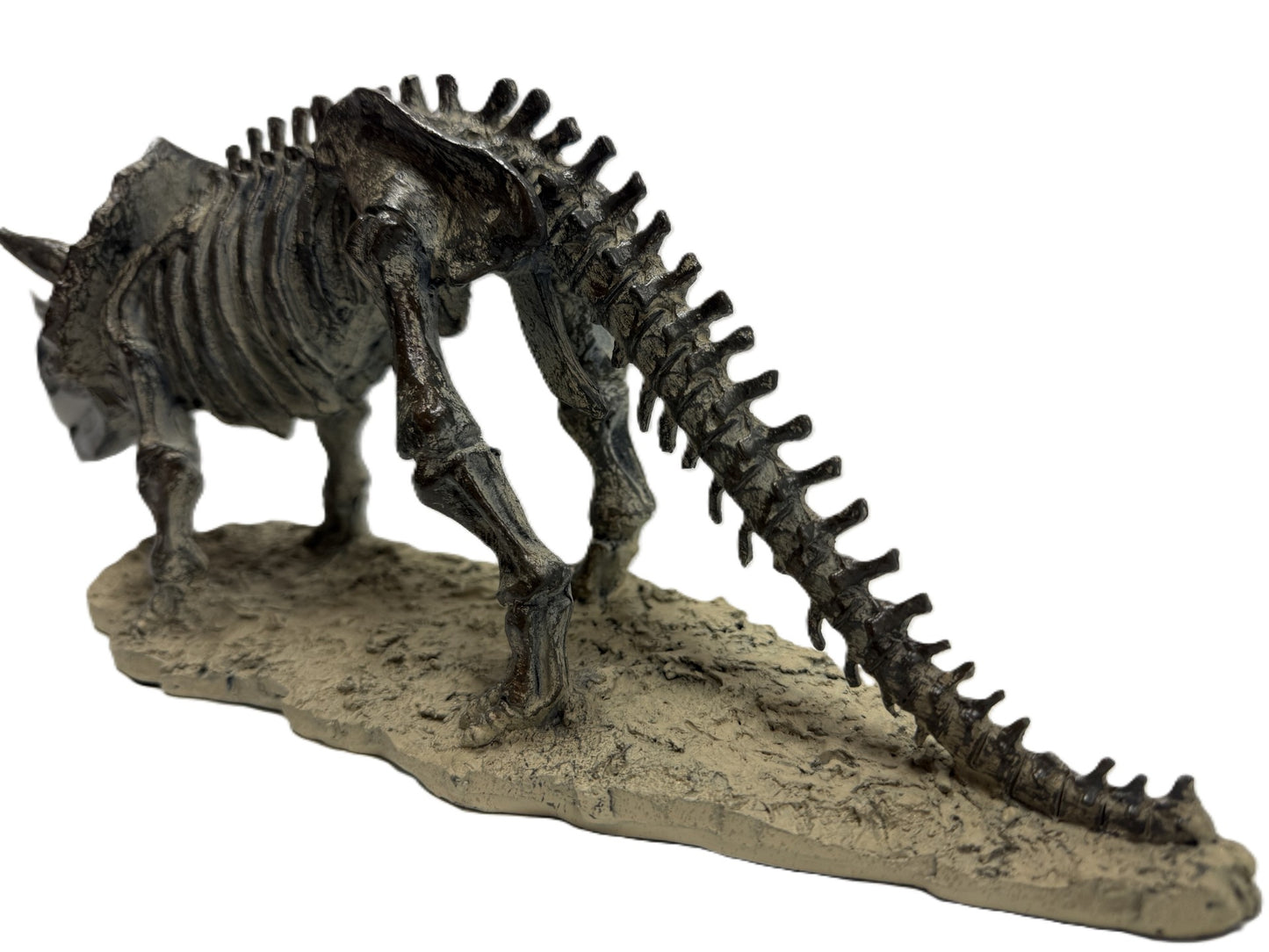Polyresin Triceratops Skeleton