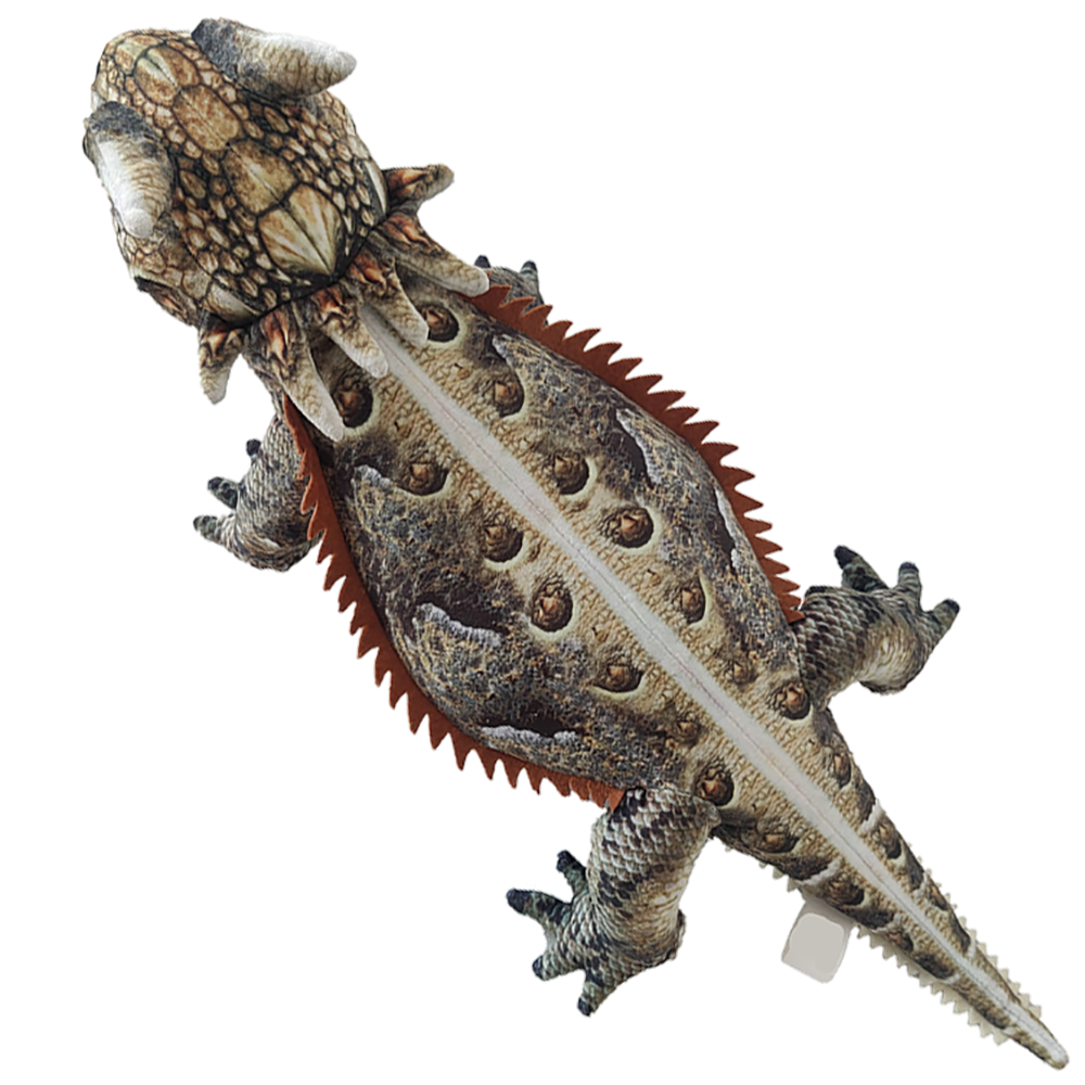 CapCut_find the animals roblox horned lizard
