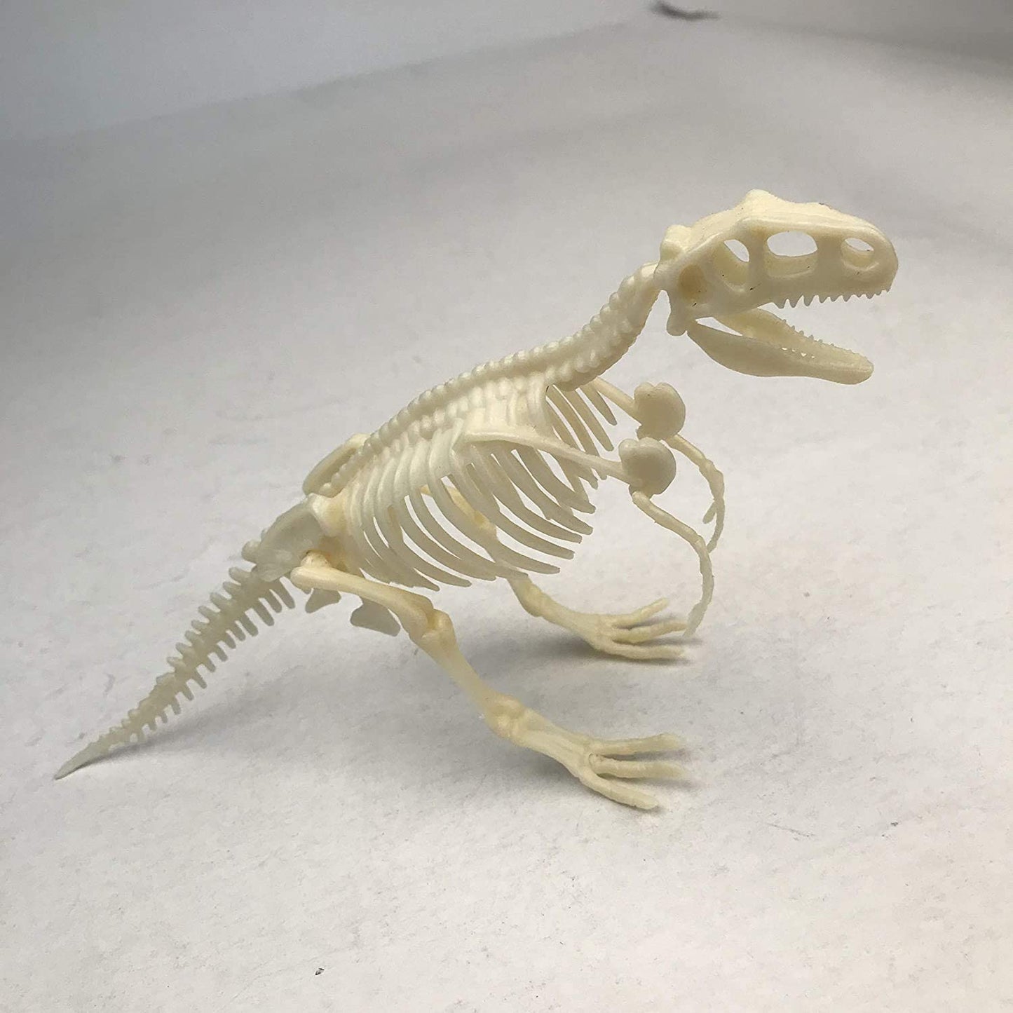 Dinosaur Skeleton Realistic Model Assembly Peggable Kits