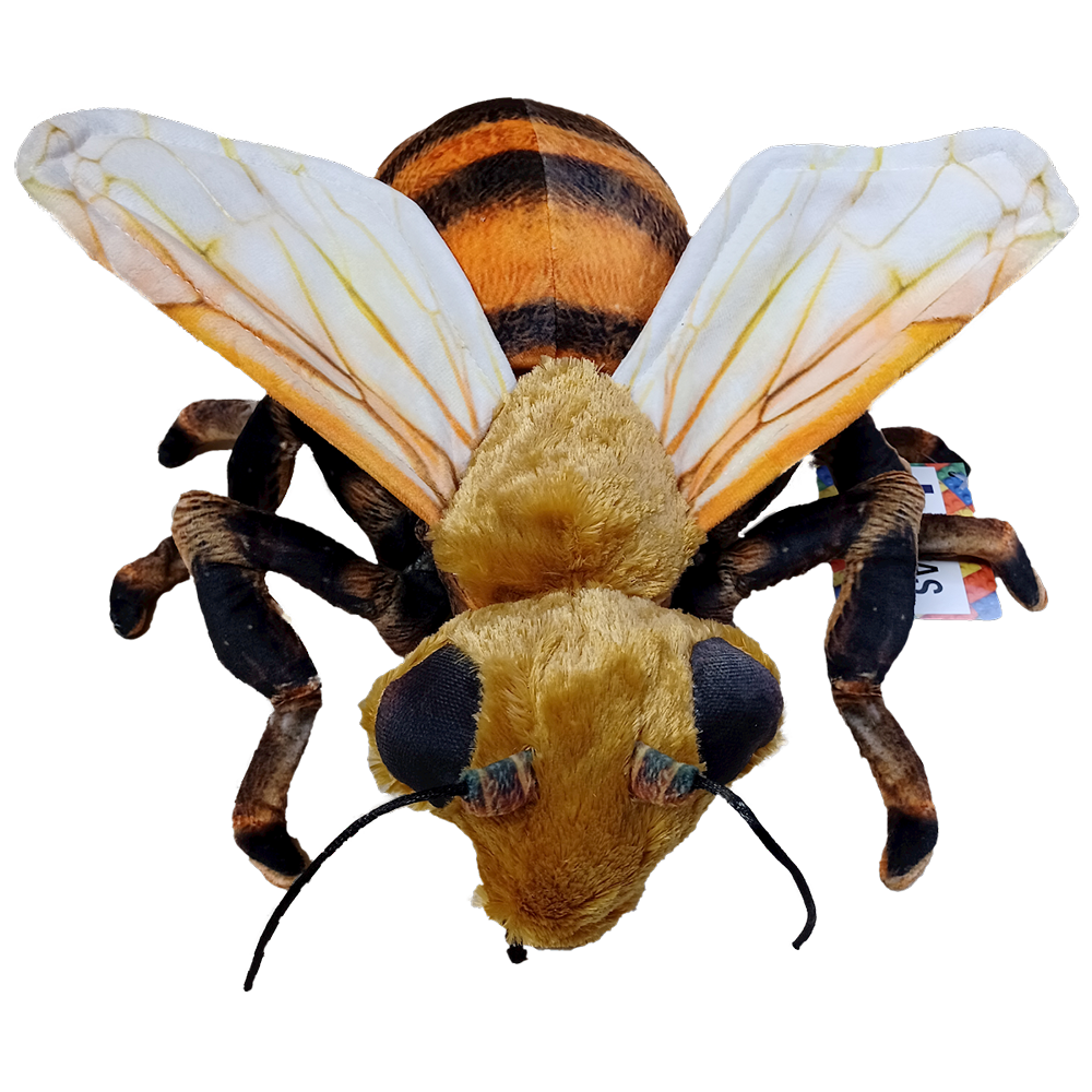 Bee 14" Plush Stuffed Animal