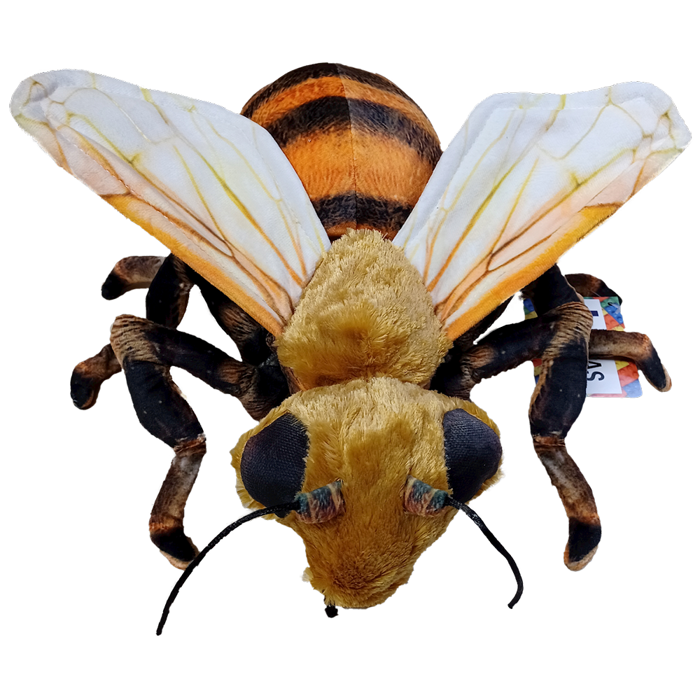 Stuffed Bee Bee 14