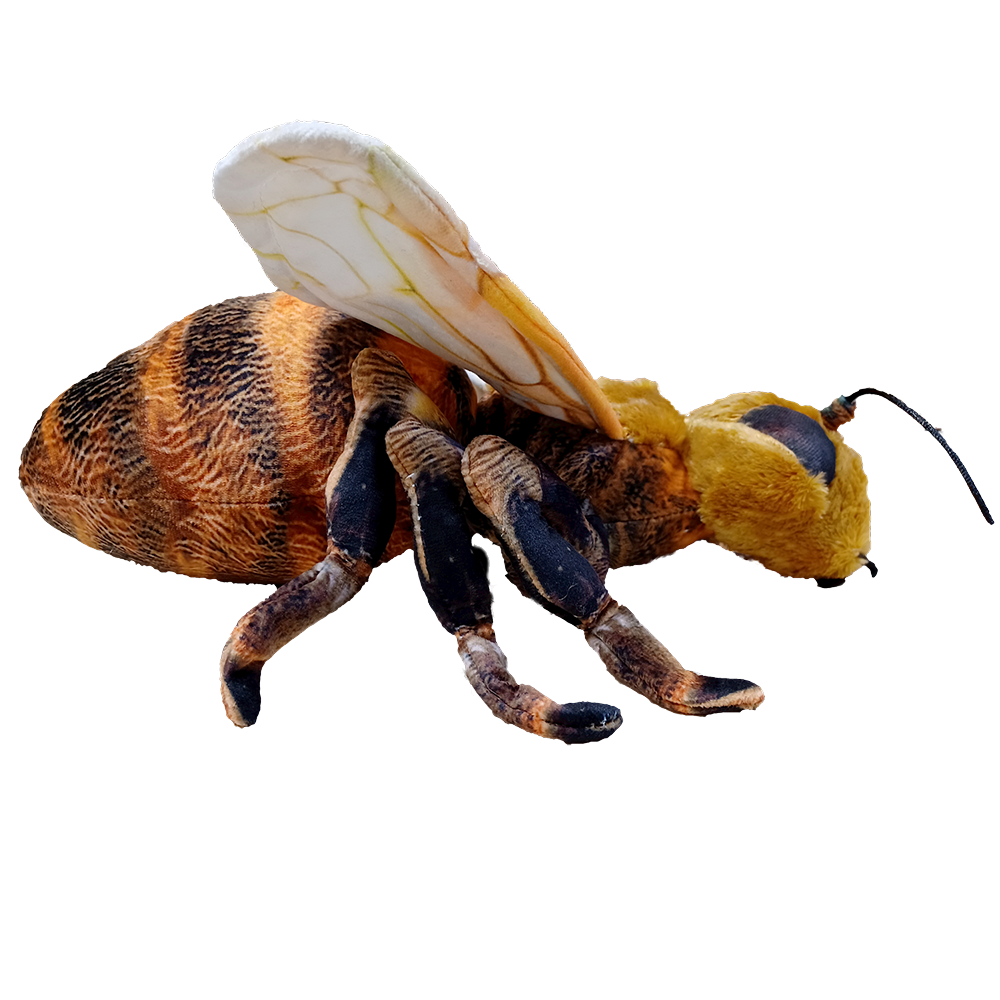 Stuffed Bee Bee 14