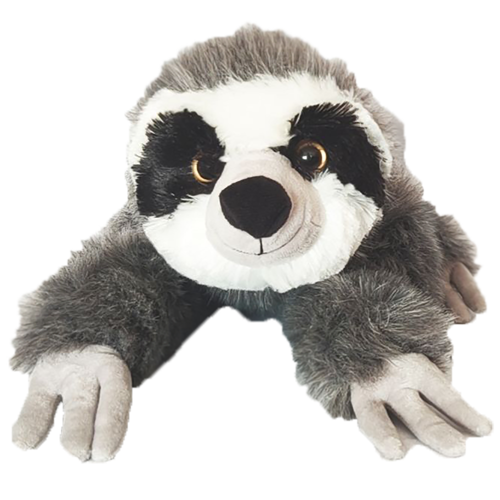 Nasa Sloth
