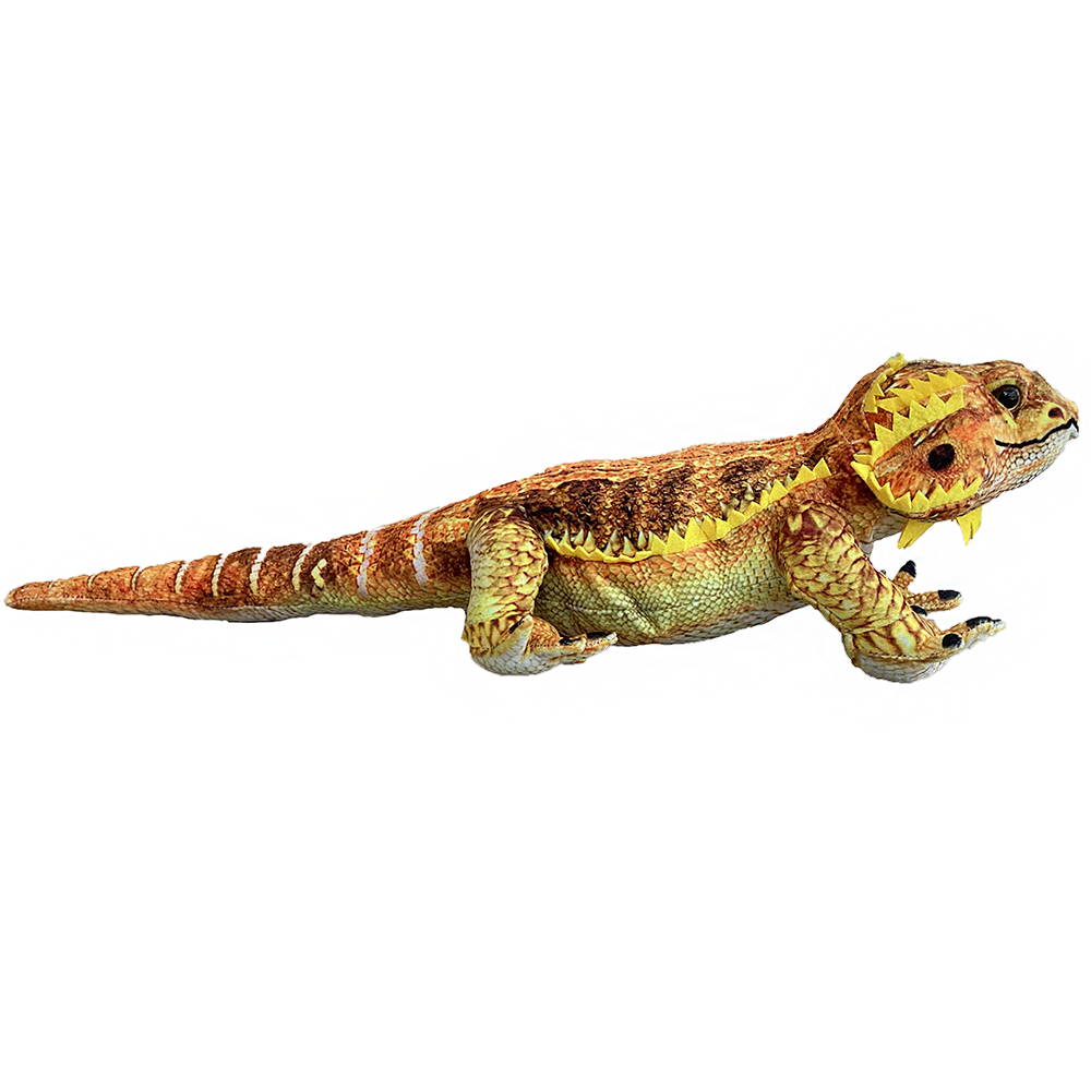 Bearded dragon toy cheap