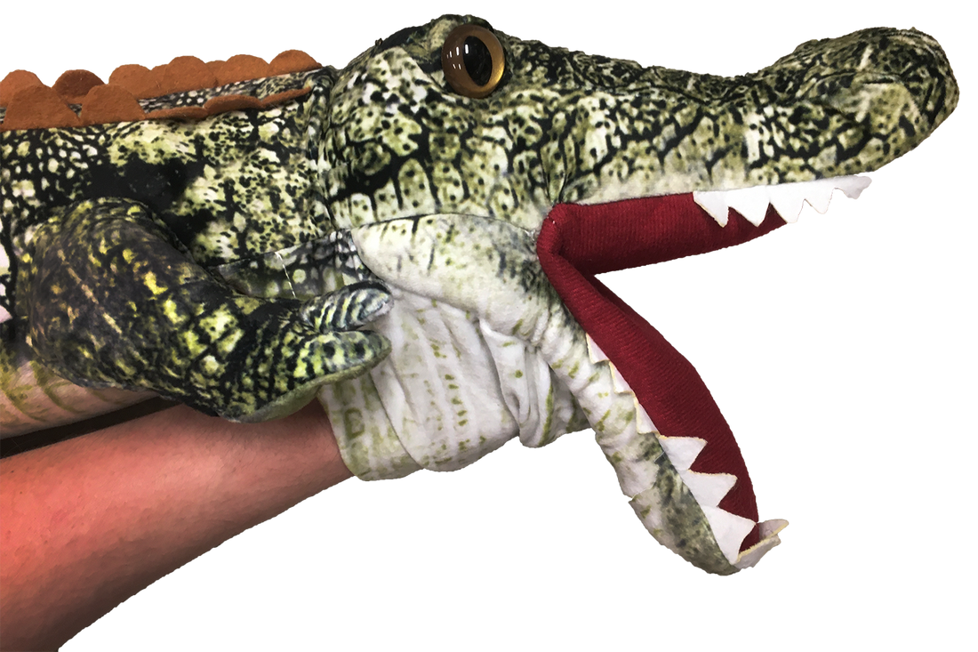 Crocodile 40