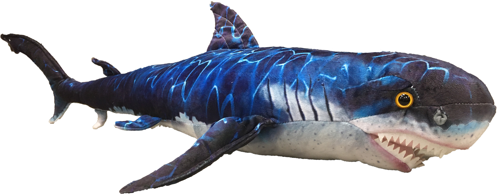 Blue Shark 29