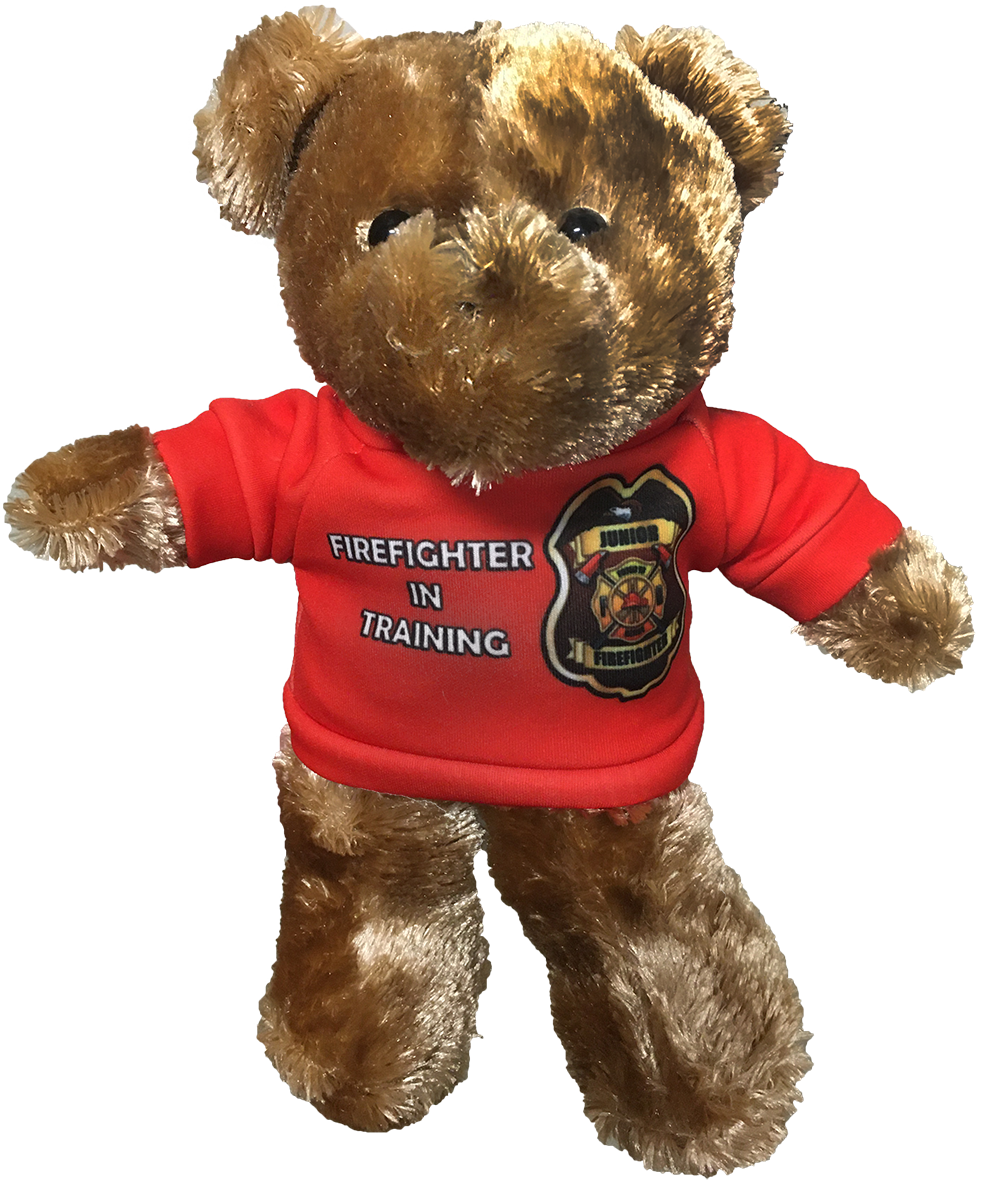 Teddy Bear 11.5" Tall Plush Stuffed Animal