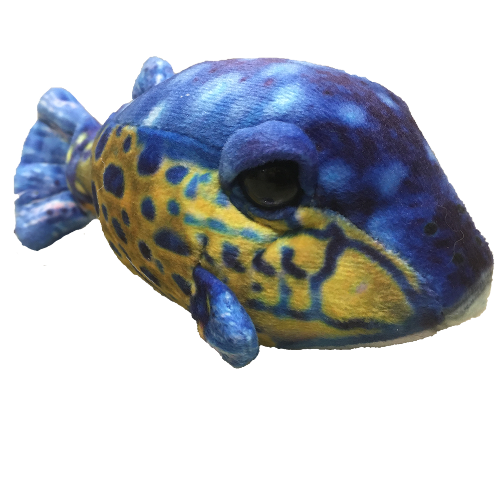 Small Box Fish 6" Aquatic Plush Blue Stuffed Animal